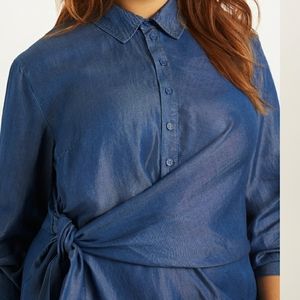 Eloquii Cinched Waist Chambray Dress